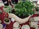 DSC00176