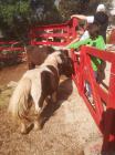 IMG-20230426-WA0005