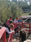 IMG-20230426-WA0007